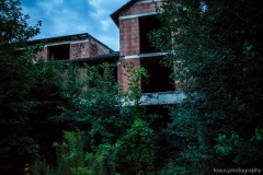 008-ulm-kraus.photography