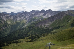 Fellhorn
