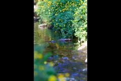 Landschaft