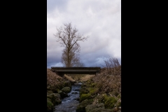 Landschaft