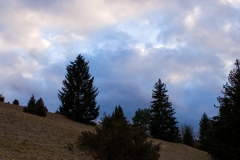 Landschaft